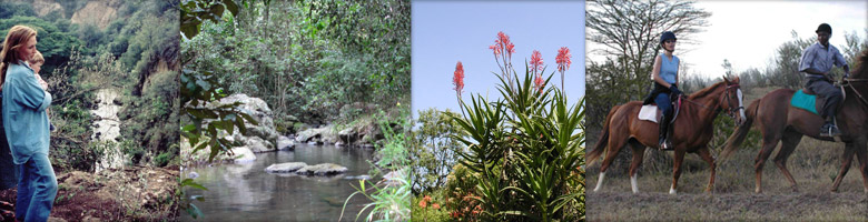 Malu accommodation